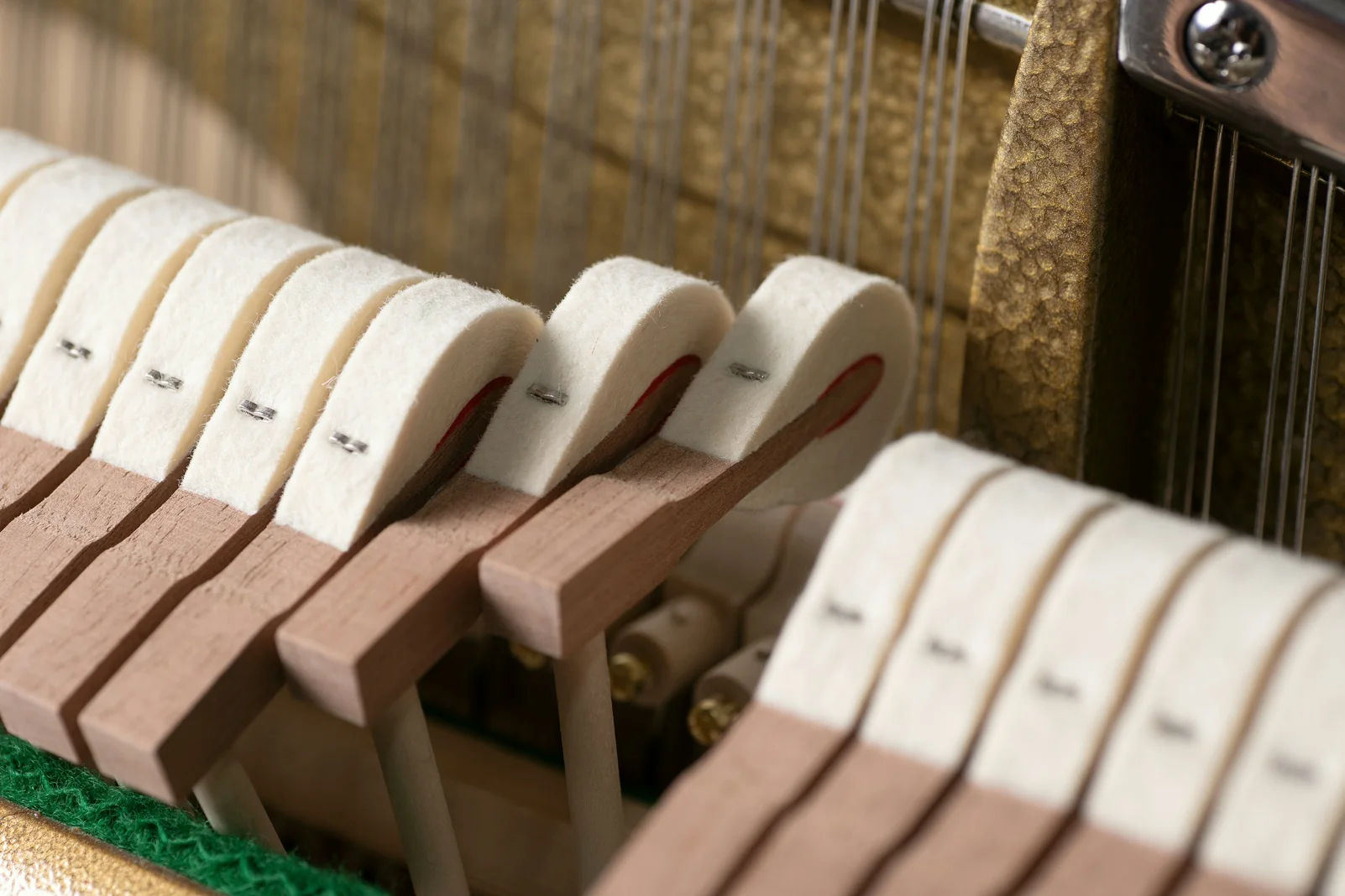A close view of piano hammers, shanks and strings